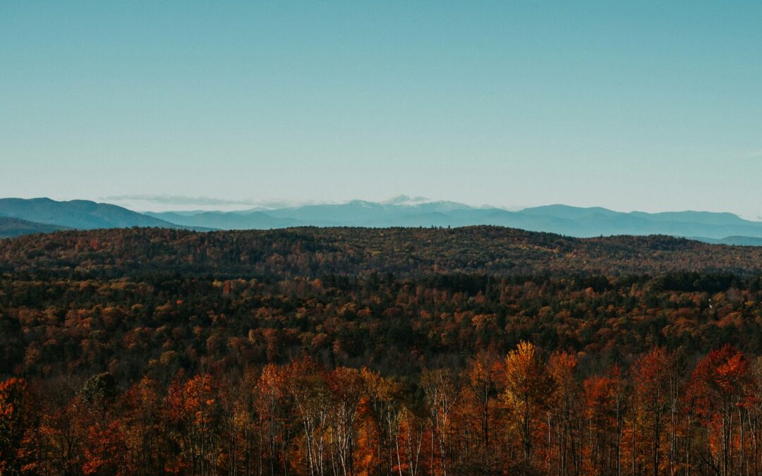 Hacker's Hill Preserve with a forest of red, yellow, and orange foliage